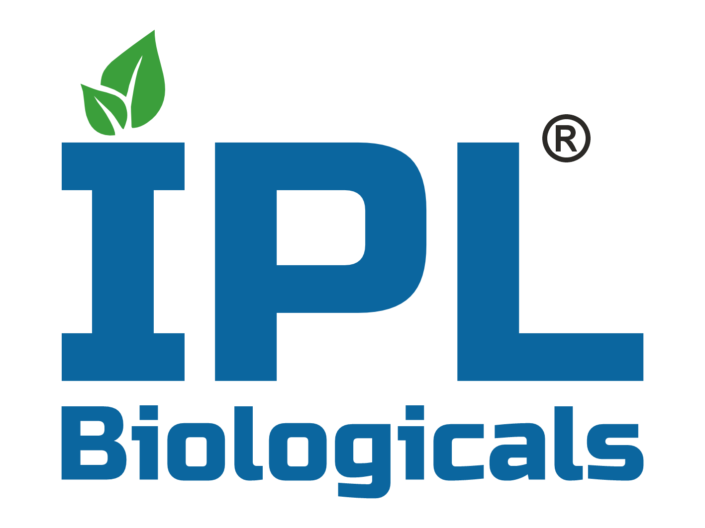 ipl logo final