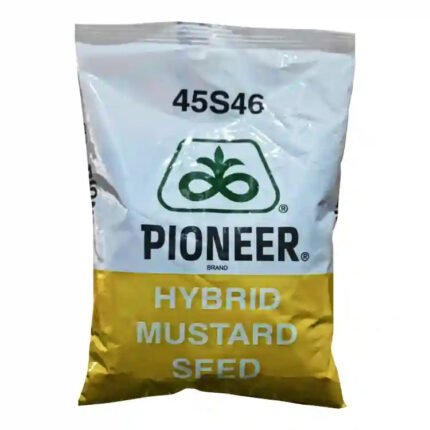pioneer 45s46 mustard high yield seeds