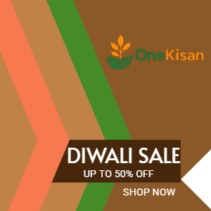 diwali sale up to 50% off