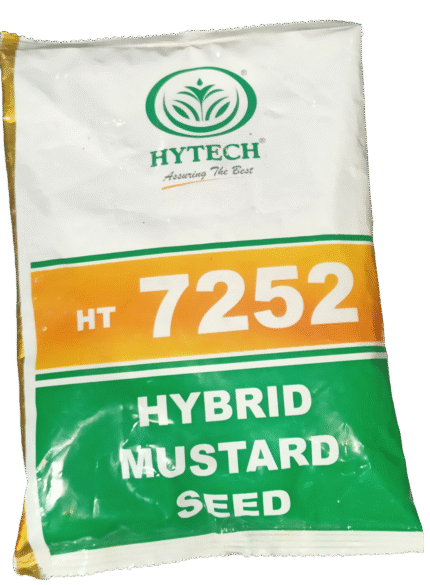 hytech ht 7252 hybrid mustard seed