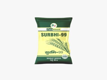 Surbhi 99 Wheat Paramount - High Performance yield wheat variety
