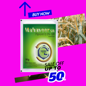 up to sale off 50 %