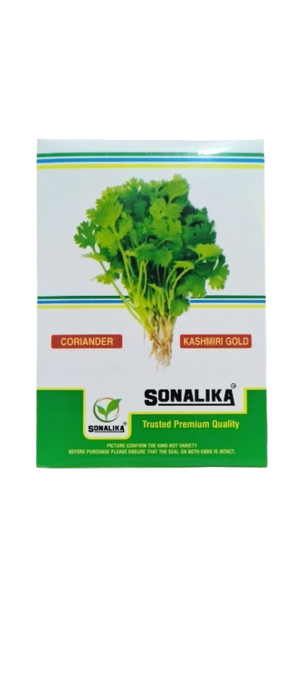 Sonalika coriander seeds - kashmiri gold seeds coriander
